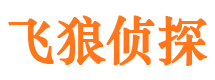 九台市调查公司